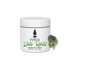 Pines - Pines | Coco Runtz | 3.5g