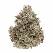 Sense | Coconut Cream | 3.5g