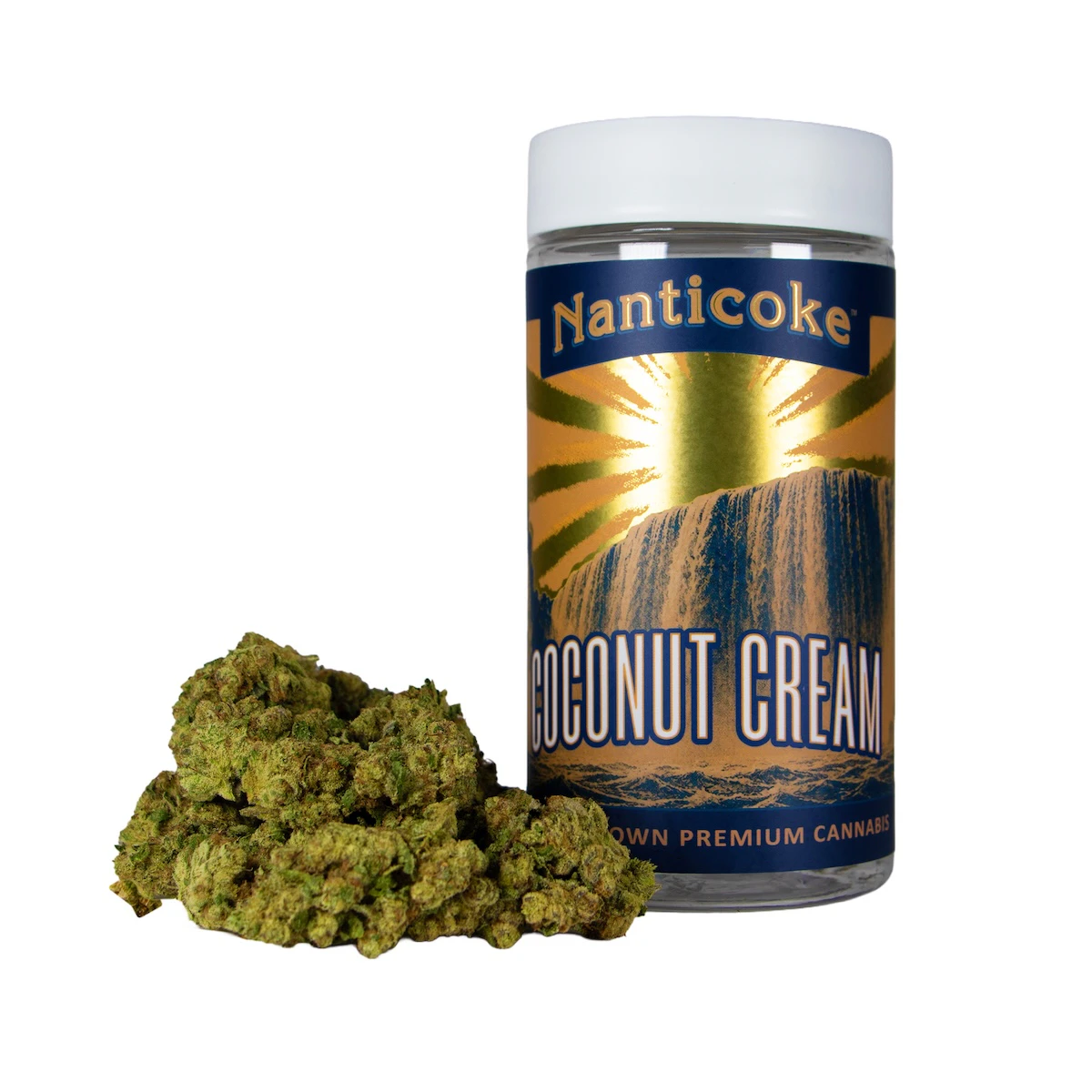 Nanticoke - Coconut Cream 28g Main Image