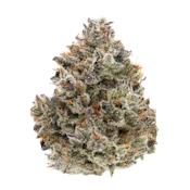 Coconut Cream - 3.5g (IH) - Sense