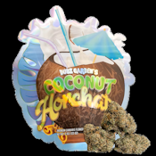 [REC] Dubz Garden | Coconut Horchata | 1g Cured Resin AIO