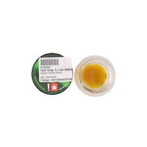 FUNK EXTRACTS - Funk Extracts | Badder 1g [H] | Cold Snap 