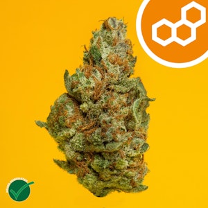 THERAPLANT - Colorado Flo 41513