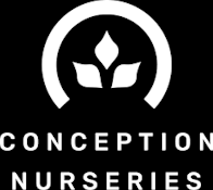 Conception Clones - Nimbus Snacks