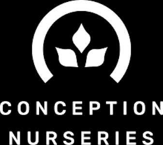 Conception US Inc. (Clones) - Conception Clones - Applescotti 