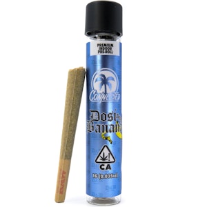 Connected - Dosi & Banana 1g Pre-Roll - Connected