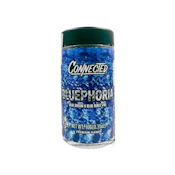 BLUEPHORIA 10G - CONNECTED