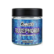 BLUEPHORIA 3.5G - CONNECTED