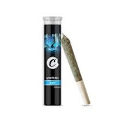 Cookies - Blue Raz - Preroll - 1G