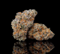 [REC] Branson | Harlem's Finest | 7g Flower