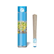 Cookies - Hollywood - Preroll - 1G