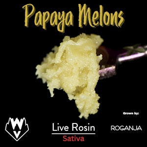 WILLAMETTE VALLEY ALCHEMY - Papaya Melons, Live Rosin