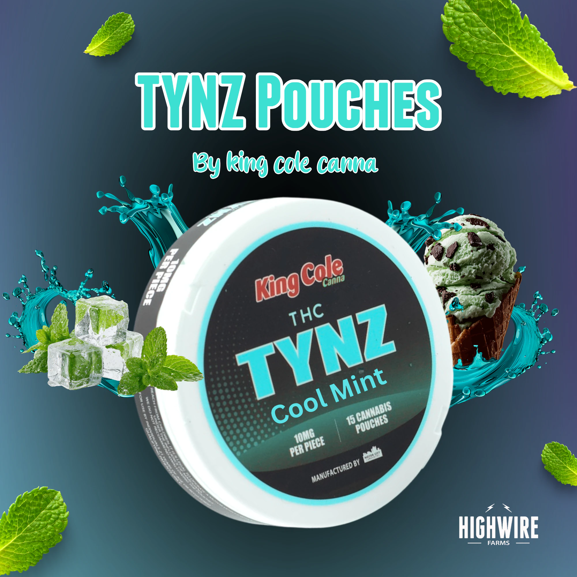 King Cole - King Cole TYNZ Cool Mint Pouches 150mg (15x10mg) Main Image