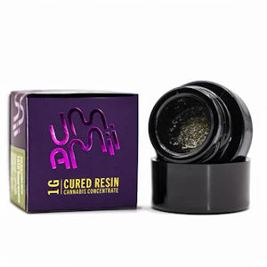 Umami - Umamii | 11 Dimension | Cured Resin
