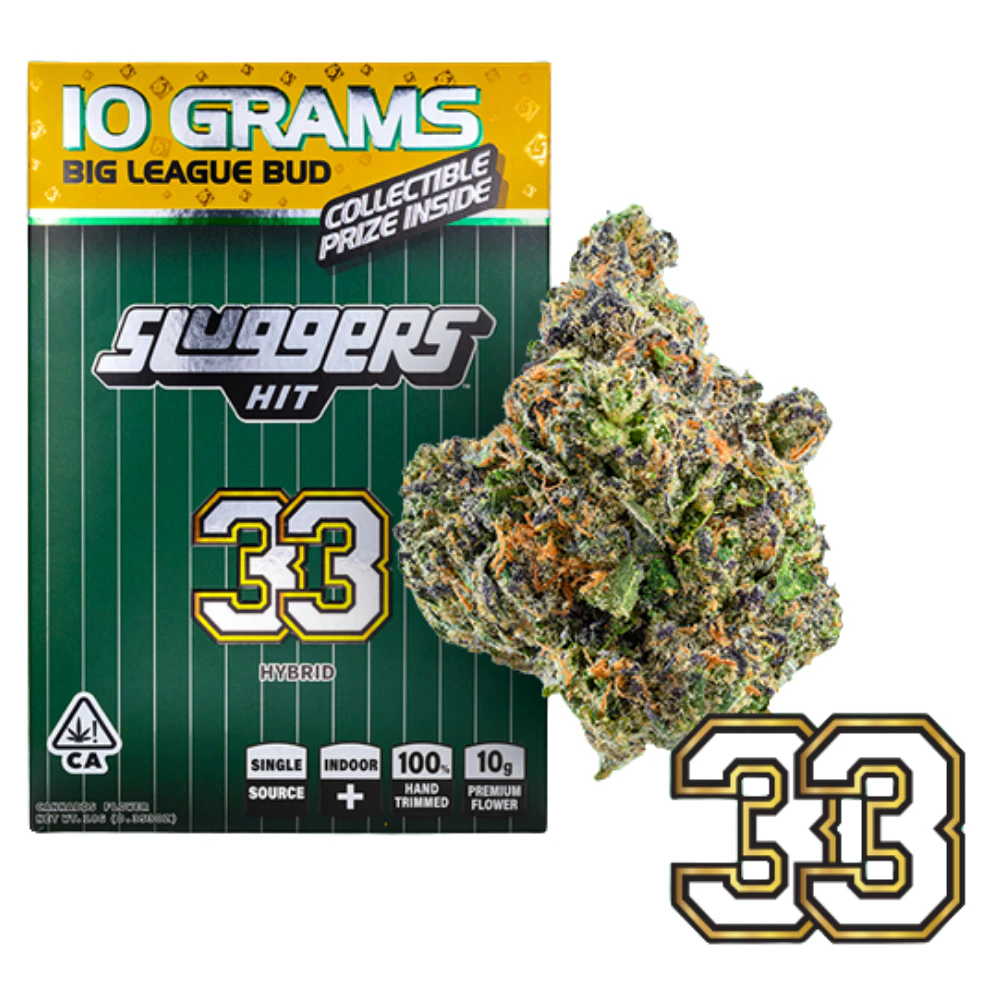 Sluggers - Sluggers - 33 (H) - Indoor - 10g Main Image