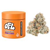 Oakfruitland - Pandoras Box - Indoor - 7g