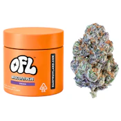 Oakfruitland - Biscotti Plus (I) - Indoor - 3.5g