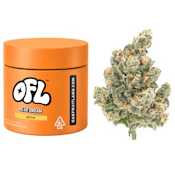 Oakfruitland - Blue Dream (S) - Indoor - 7g