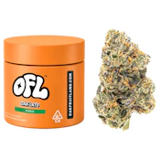 Oakfruitland - Oaklato (H) - Indoor - 7g