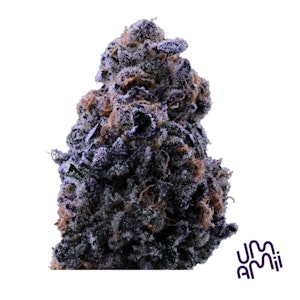 UMAMII - Umamii - Grape Pie x Animal Cookies - 3.5g