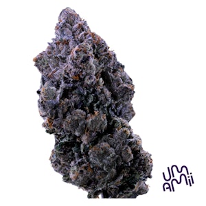 UMAMII - Umamii - Jokerz - 3.5g