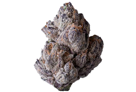 Maven Genetics - Lipsmackerz - 3.5g (H) - Maven