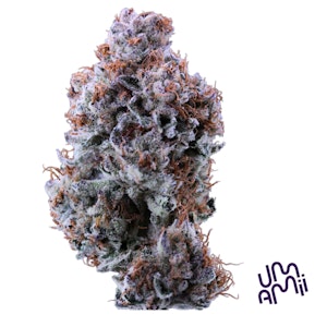 UMAMII - Umamii - Trifi Cookies - 3.5g