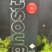 Tangie (1G) | Pod | Sativa