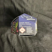 Elderberry (100MG) | 2:1 Gummies | Indica