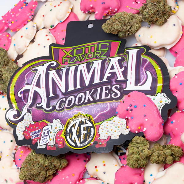 Xotic Flavorz - XOTIC FLAVORZ | ANIMAL COOKIES | FLOWER | 3.5G Main Image