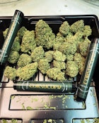 Cornucopia | Lava Cake | Kief Infused | Pre-Roll 2 Pack | 1g 