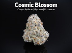 Cosmic Blossom- 2.83 grams