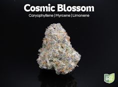 Cosmic Blossom- 2.83 grams