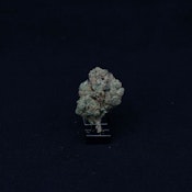 THC | Couch