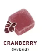 Drops - Drops – Cranberry 10 Piece (Focused) Main Image