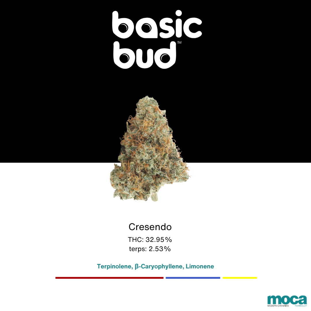Basic Bud - Basic Bud - 1/4oz Indoor - Crescendo Main Image