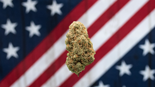 AMERICAN GROWN - American Grown-Crippler Bulk Flower Eagle Tier