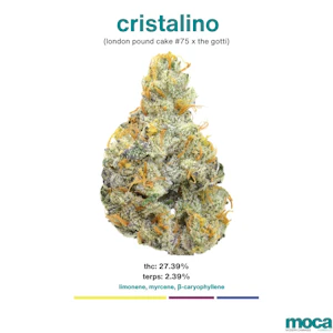 MOCA Flowers - MOCA Flowers - 1/8th Jar - Cristalino
