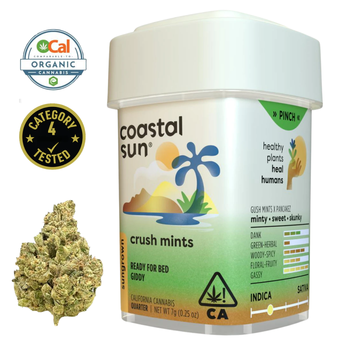 Coastal Sun - Crush Mints (I) | 7g Sun Grown Flower | Coastal Sun Main Image