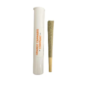 THE CURE COMPANY - Oakstradam OG PreRoll - 1g - TCC
