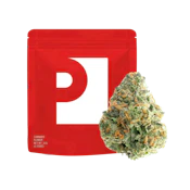 D-Lish (H) | 3.5g Bag Flower | Preferred Gardens