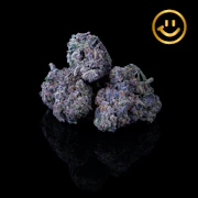 Excolo | Cheetoz | indoor flower
