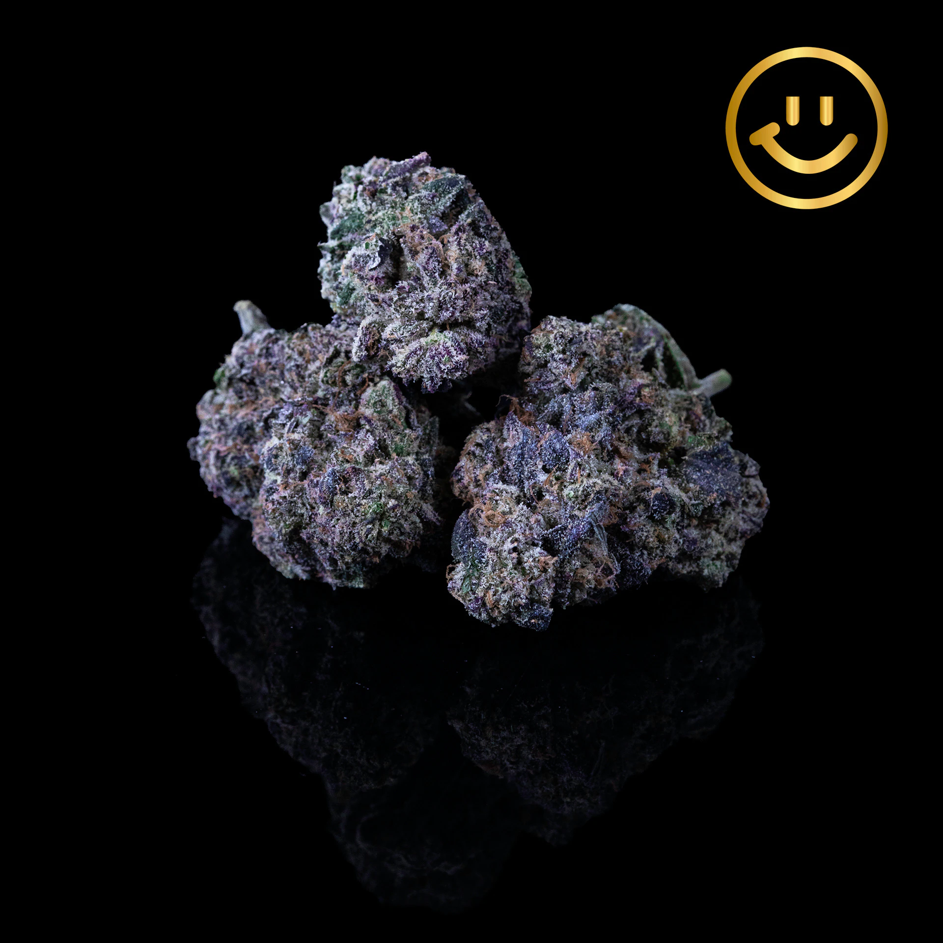 Excolo - Excolo | Cheetoz | indoor flower Main Image