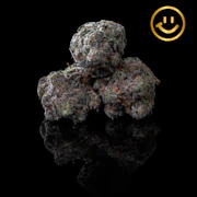 Garden First | Mac 1 | indoor flower