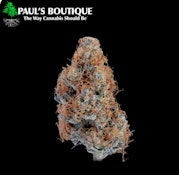 Paul's Boutique | Dark Matter | 3.5G