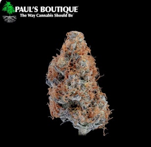 PAUL'S BOUTIQUE - Paul's Boutique | Dark Matter | 3.5G