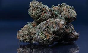 HOUSE OF KUSH - DARK RAINBOW 3.5 GRAMS