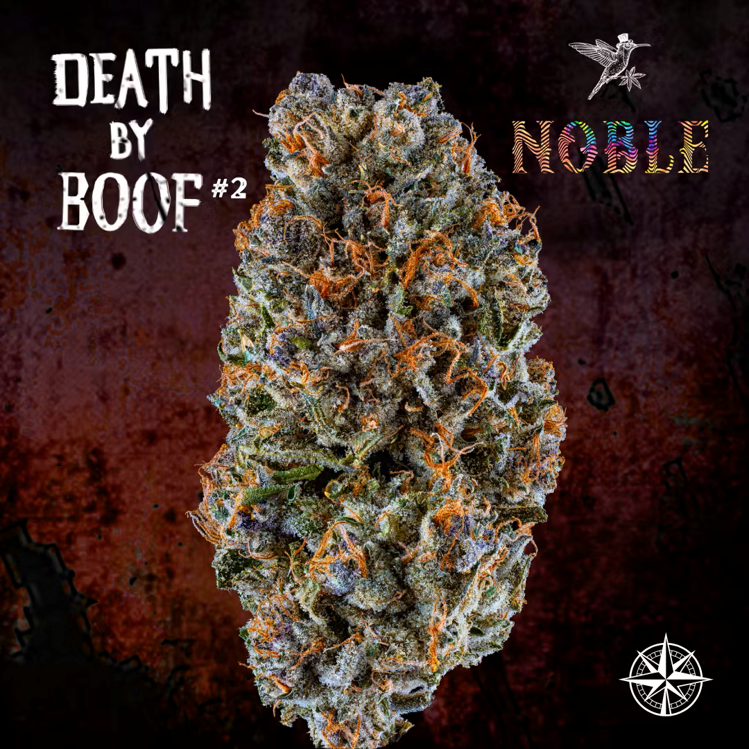 [REC] Noble Valley | Death By Boof #2 | 7g Flower