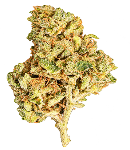 MAD MARTIAN - ShishkaBerry | Hybrid Main Image