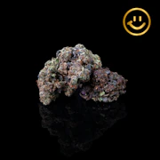 Alchemy Stone | Nascar Pretty | indoor flower